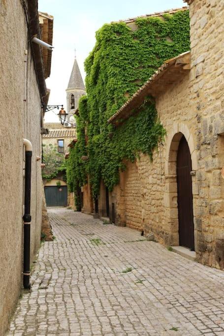 Entre Uzes Et Le Pont-Du-Gard Le Logis D'Autrefois Appartement Castillon-du-Gard Buitenkant foto